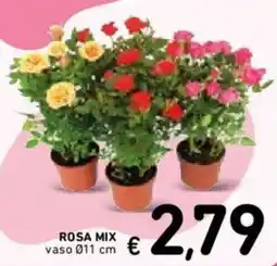 Spazio Conad Rosa mix offerta