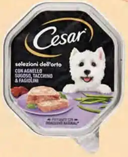 Supermercati Dok Patè per Cani CESAR offerta