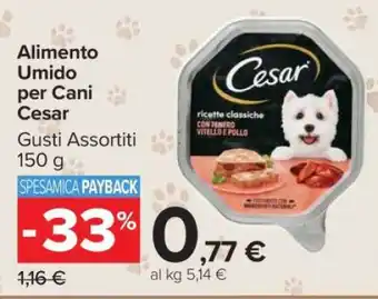 Carrefour Alimento umido per cani Cesar offerta