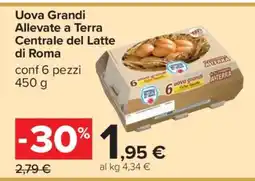 Carrefour Uova Grandi Allevate a Terra Centrale del Latte di Roma offerta