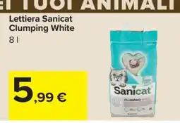 Carrefour Lettiera Sanicat Clumping White offerta