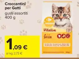 Carrefour Croccantini per Gatti offerta