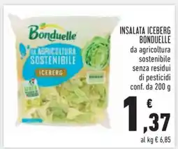 Conad Insalata Iceberg Bonduelle offerta