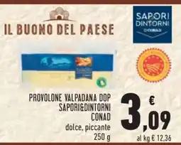 Conad Provolone Valpadana DOP Sapori&Dintorni Conad offerta