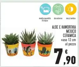Conad ALOE E HAWORTHIA MEXICO CERAMICA offerta