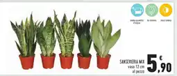 Conad SANSEVIERIA MIX offerta