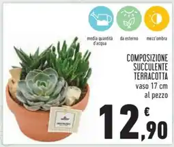 Conad COMPOSIZIONE SUCCULENTE TERRACOTTA offerta