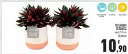 Conad PEPEROMIA CERAMICA offerta