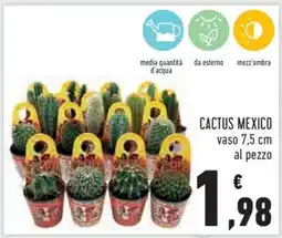 Conad CACTUS MEXICO offerta