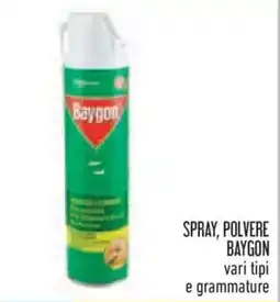 Conad Spray, polvere BAYGON offerta