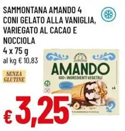 Famila Sammontana amando 4 coni gelato alla vaniglia, variegato al cacao e nocciola offerta