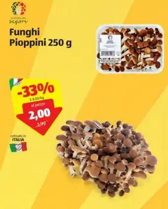 Funghi Pioppini 250g