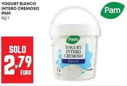 Panorama Yogurt bianco intero cremoso PAM offerta