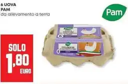 Panorama 6 uova pam da allevamento a terra offerta