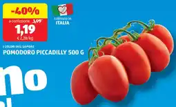 ALDI I colori del sapore pomodoro piccadilly offerta