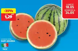 ALDI I colori del sapore baby anguria offerta