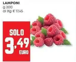 Panorama Lamponi offerta