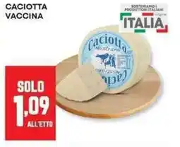 Panorama Caciotta vaccina offerta