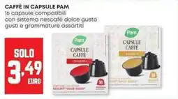 Panorama Caffè in capsule PAM offerta