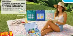 ALDI Home creation coperta da picnic con custodia integrata offerta