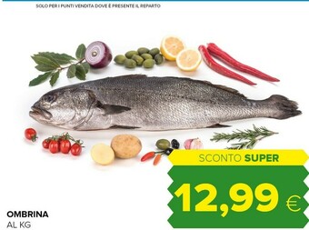 Tigre Ombrina offerta