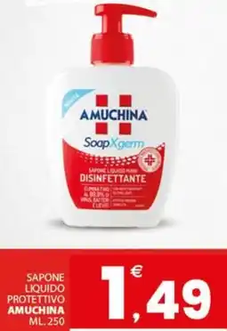Despar Sapone liquido protettivo AMUCHINA offerta