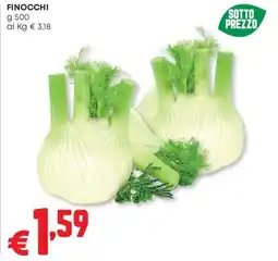 Pam Finocchi offerta