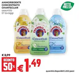 Pam Ammorbidente concentrato CHANTECLAIR offerta