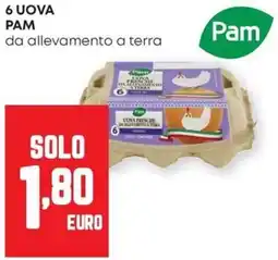 Pam 6 uova PAM offerta
