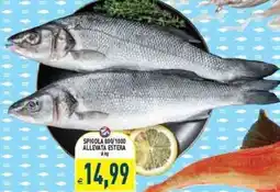Iperfamily Spigola 600/1000 allevata estera offerta