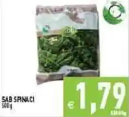 Iperfamily Sab spinaci offerta