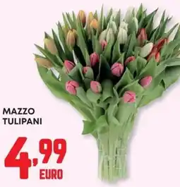 Pam Mazzo tulipani offerta