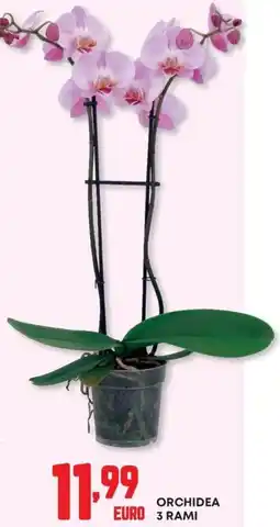 Pam Orchidea 3 rami offerta
