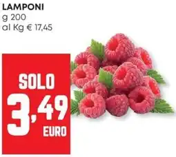 Pam Lamponi offerta