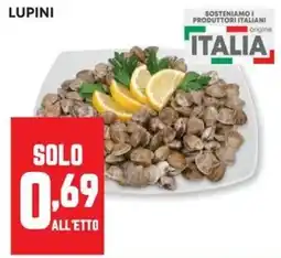 Pam Lupini offerta