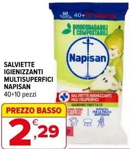 Iperal Salviette igienizzanti multisuperfici NAPISAN offerta