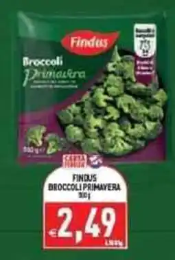 Iperfamily Findus broccoli primavera offerta