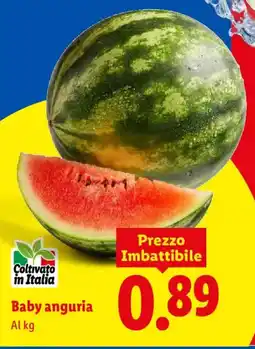 Lidl Baby anguria offerta