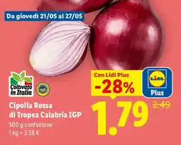 Lidl Cipolla Rossa di Tropea Calabria IGP offerta