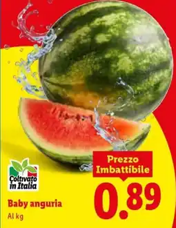 Lidl Baby anguria offerta