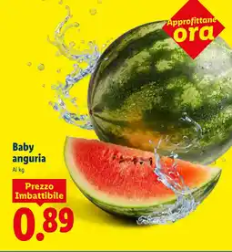 Lidl Baby anguria offerta