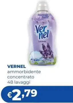 Acqua & Sapone VERNEL offerta