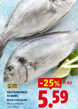 Lidl GASTRONOMIA DI MARE Orata eviscerata offerta