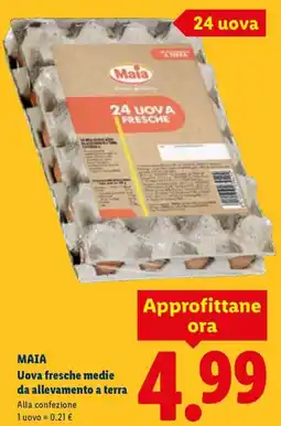 Lidl MAIA Uova fresche medie da allevamento a terra offerta
