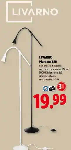 Lidl LIVARNO Piantana LED offerta