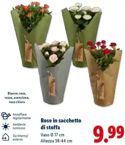Lidl Rose in sacchetto di stoffa offerta