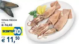 Esselunga Totani freschi offerta