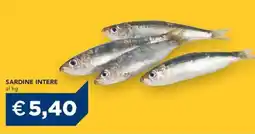 Esselunga Sardine intere offerta