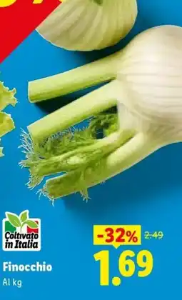 Lidl Finocchio offerta