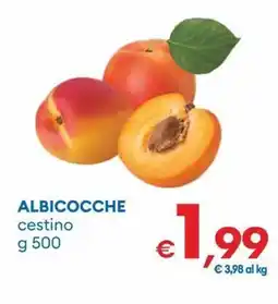 MD Discount Albicocche cestino offerta
